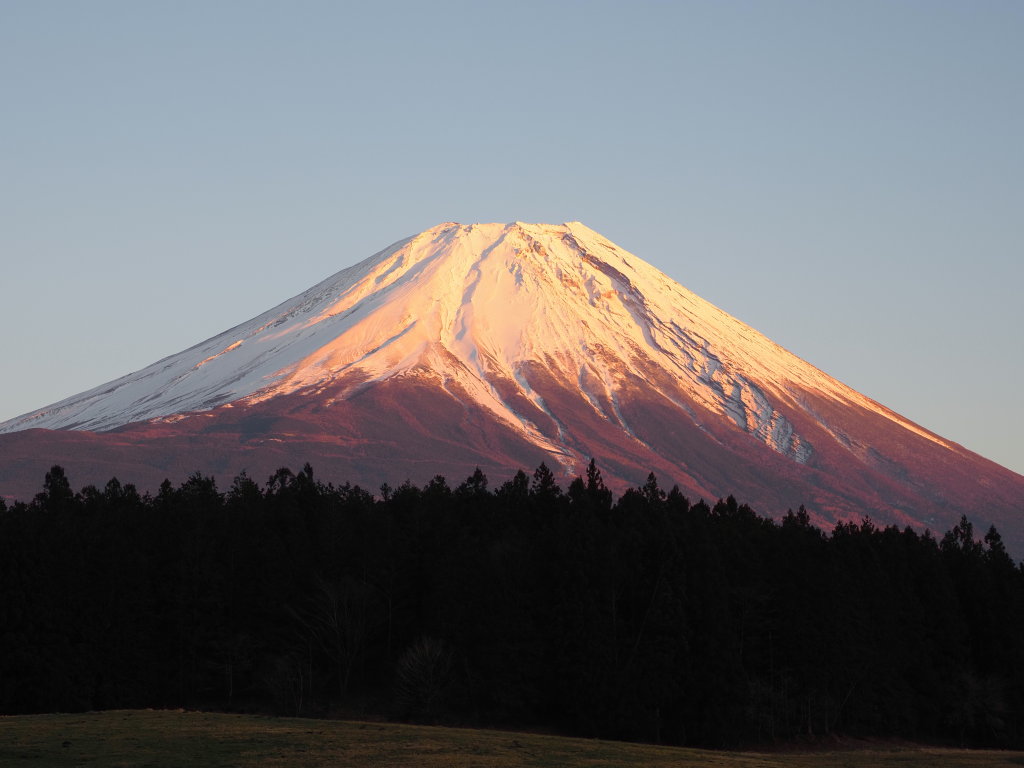 1/11 �[�Ă��̕x�m�R