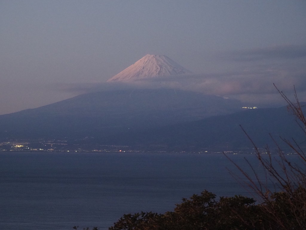 1/21 �悤�₭�������x�m�R