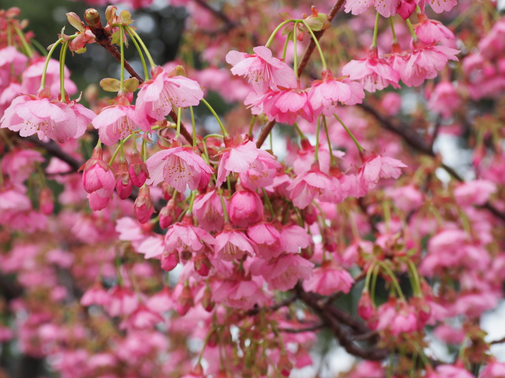 1/22 �� ���J