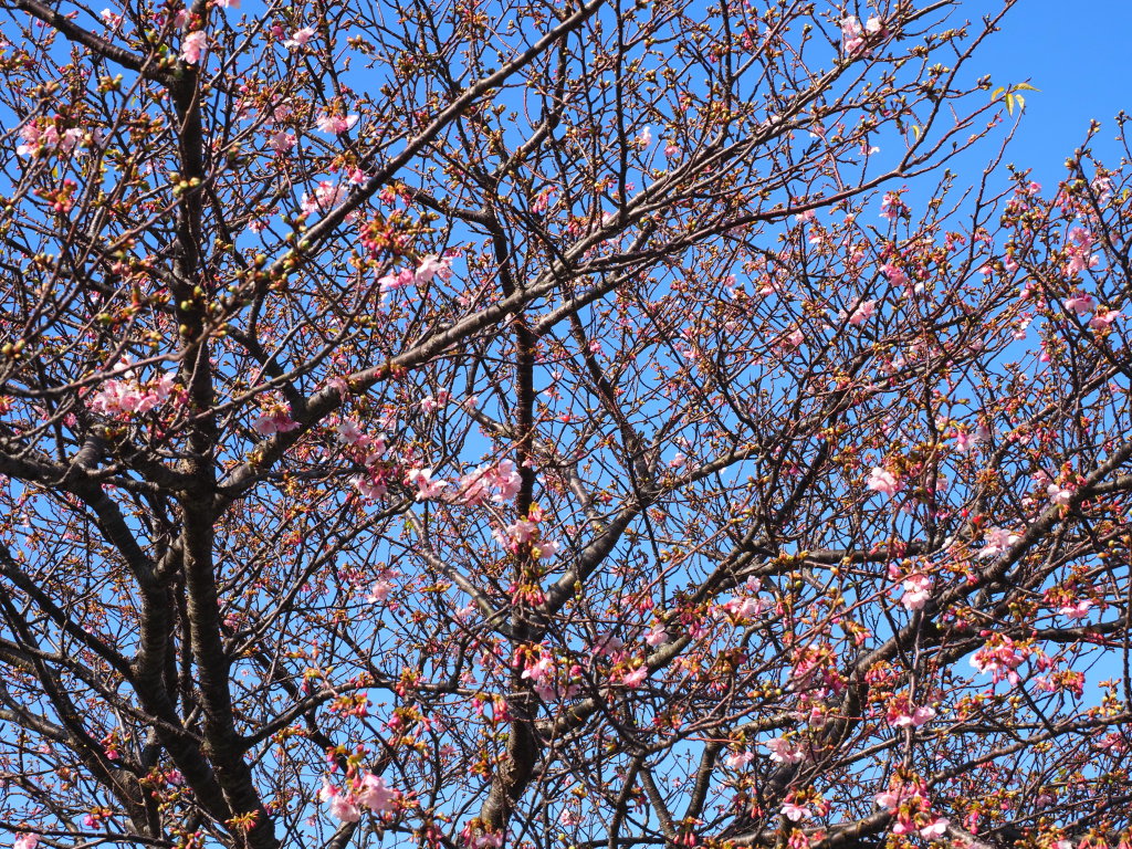 1/22 �͒Í��܂��܂�