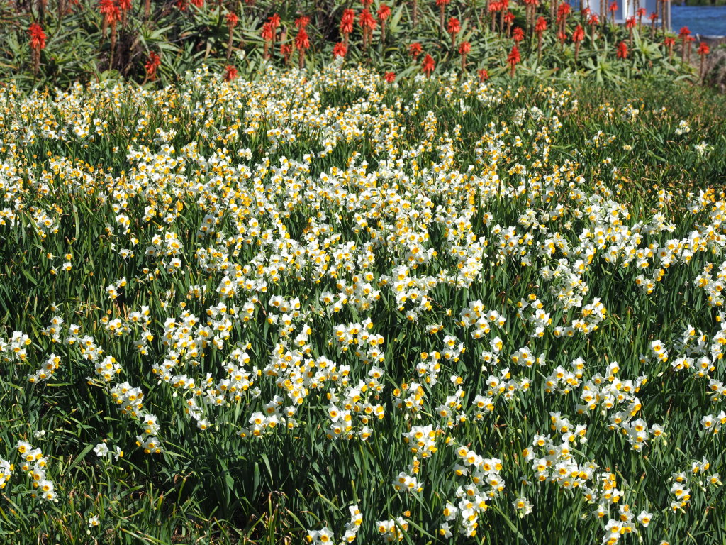 1/22 ���� ���J