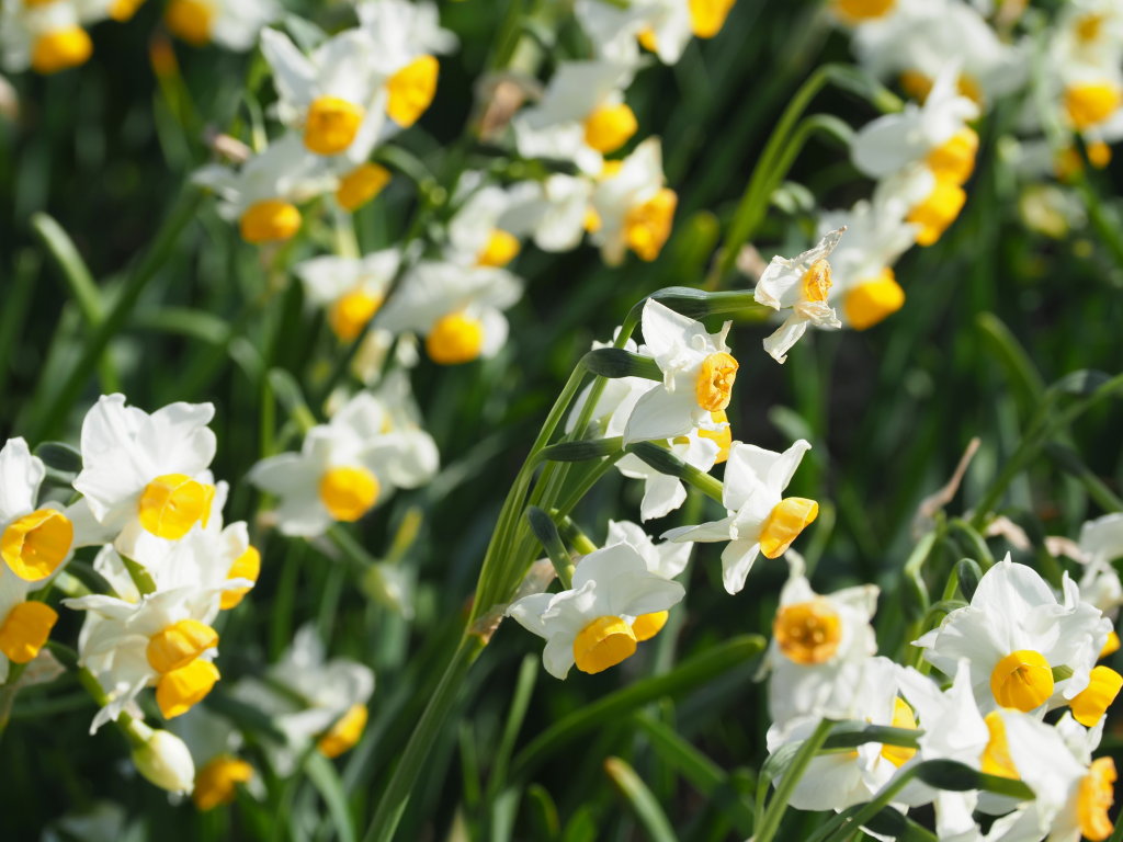 1/22 ����̃A�b�v