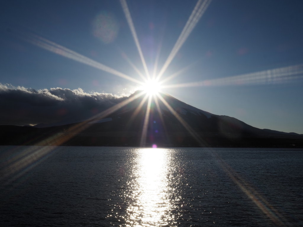 2/6 �_�C�������h�x�m