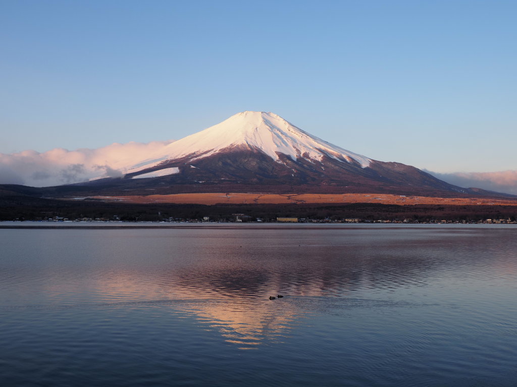 2/6 ���Ă��̋t���x�m