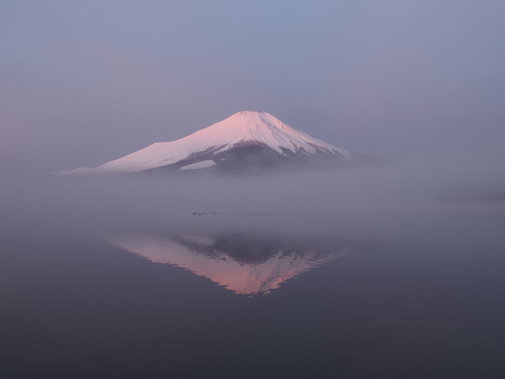 2/15 �g�t���x�m