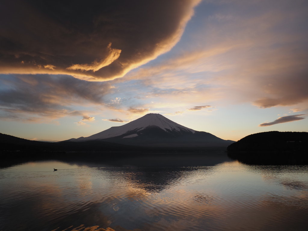 2/15 �݂邵�_�Ɨ[�Ă�