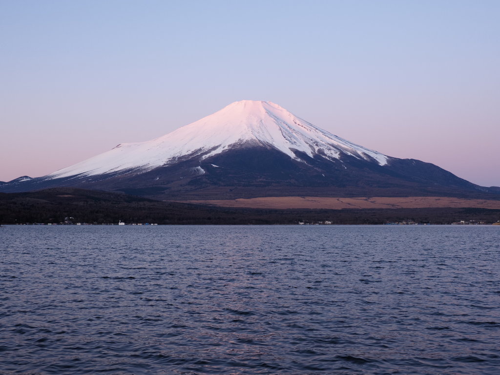 2/18 ���Ă��̕x�m�R