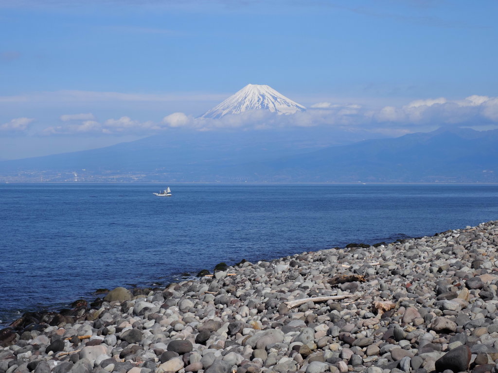 2/20 �C�z���̕x�m�R