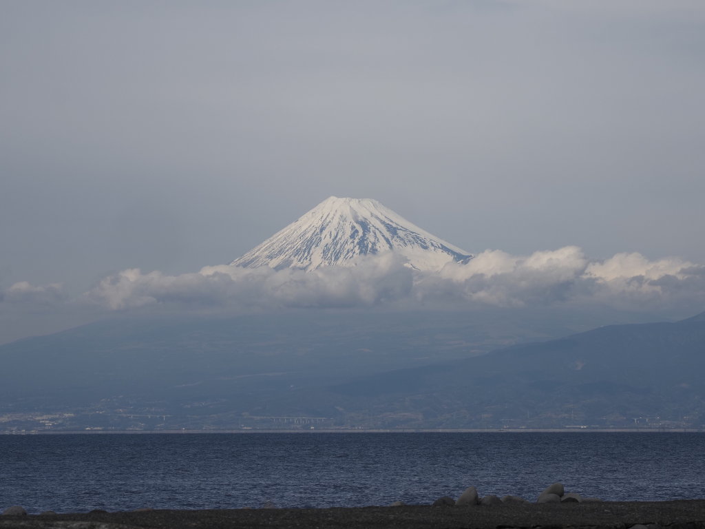 2/20 �_�ƕx�m�R