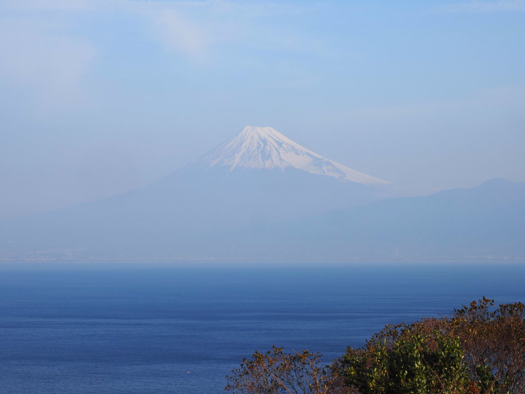 2/21 �x�m�R�����n�߂�