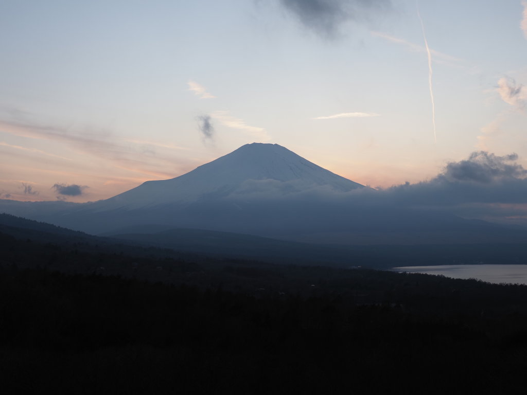 2/21 �[�Ă��̕x�m�R