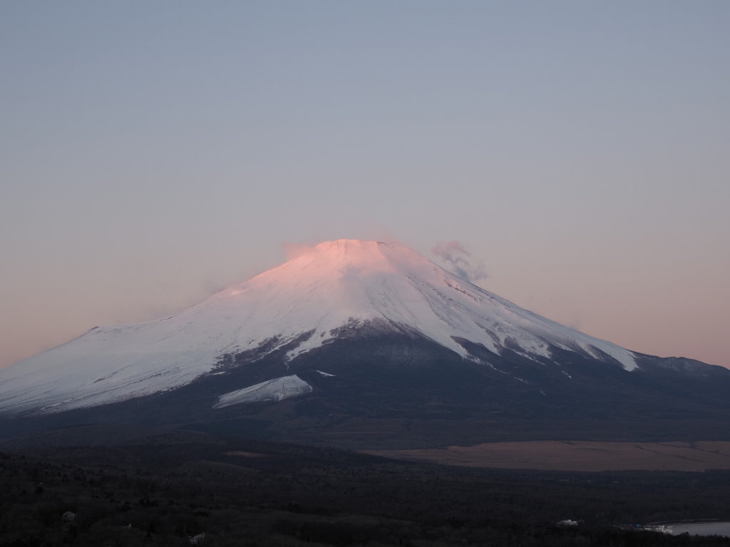 2/23 �x�m�R�̓�