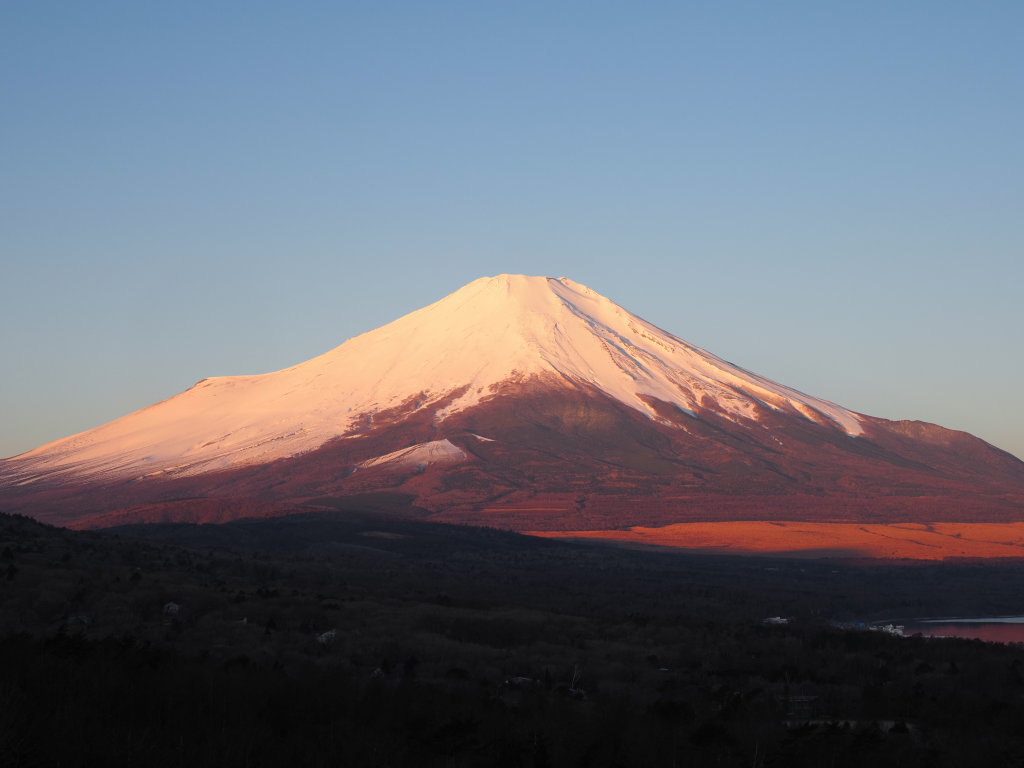 2/24 �g�g�̂Ȃ��x�m�R