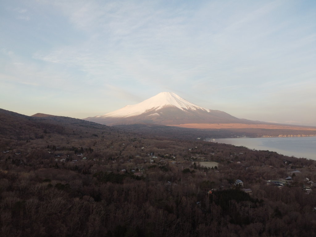 2/25 ���Ă��̕x�m�R