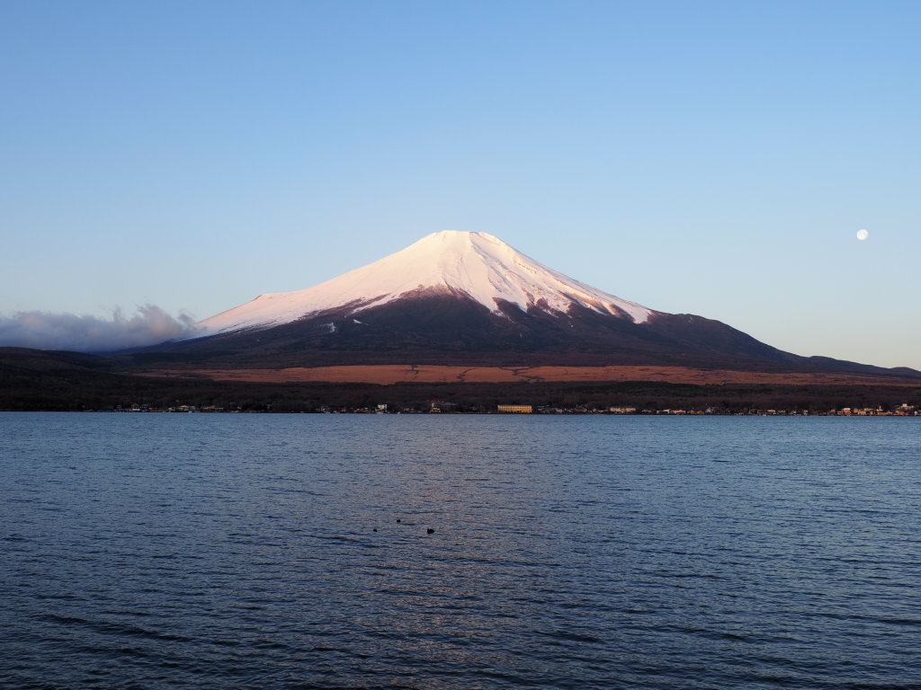 3/11 ���Ă��̕x�m�R