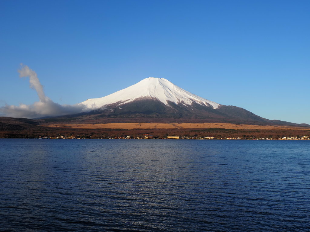 3/11 �����