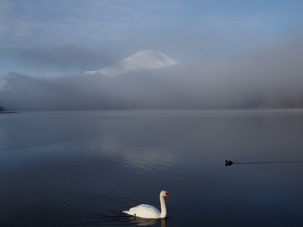 3/13 �����ƕx�m�R