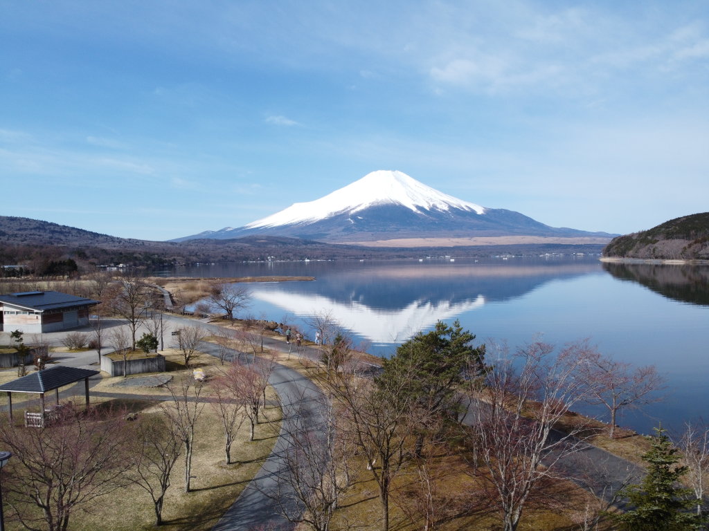 3/13 ���50m����̕x�m�R