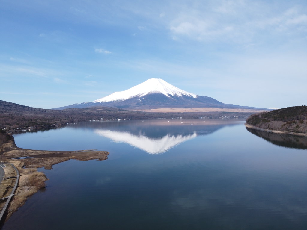 3/13 ���50m����̕x�m�R