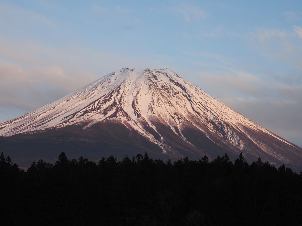 3/13 �ق�̂�[�Ă�