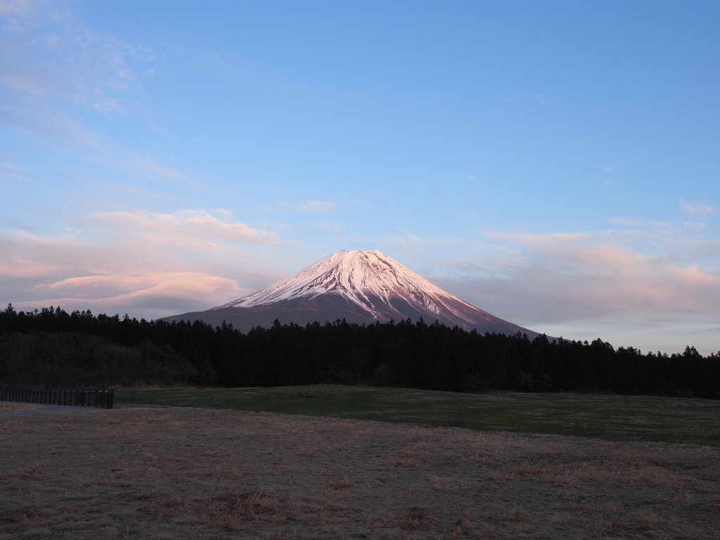 3/13 �_�Ɨ[�Ă�