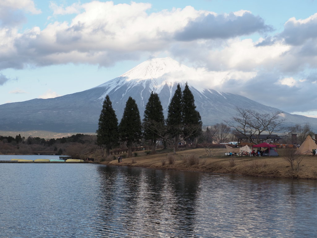 3/15 �c�ь΂���̕x�m�R