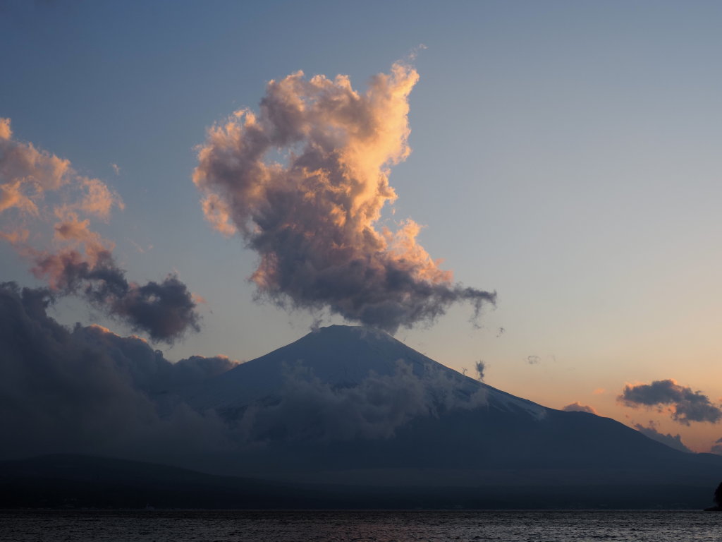 4/4 �[�Ă��̕x�m�R