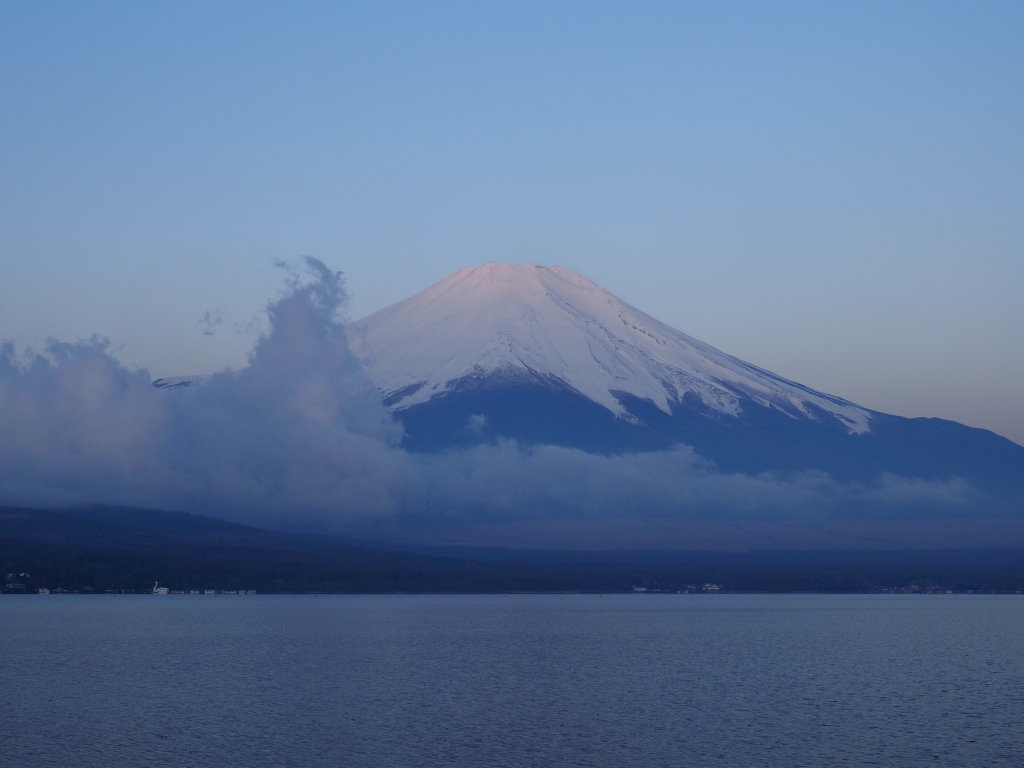 4/5 �R������