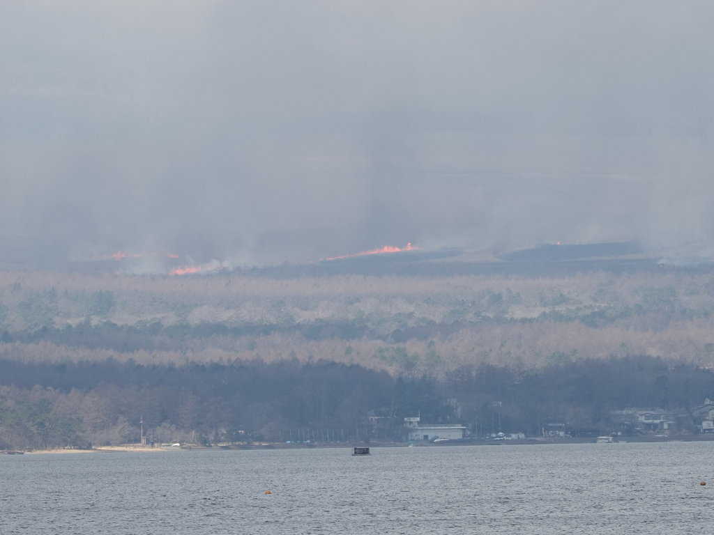 4/5 ���P�����