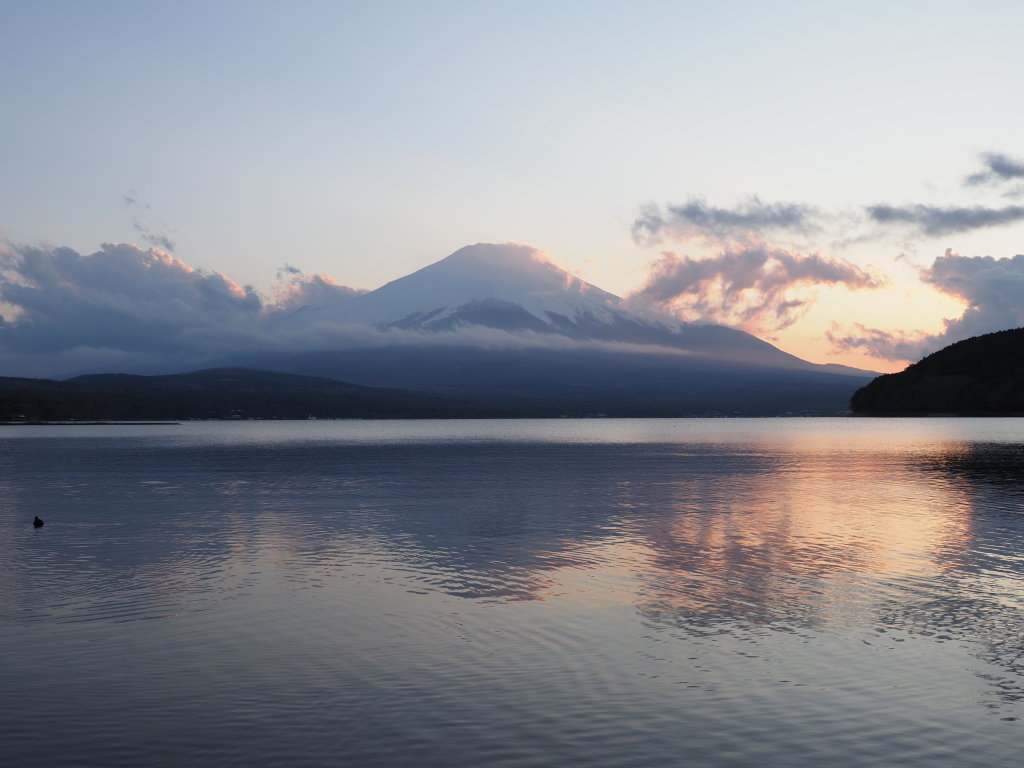 4/5 �[�Ă��̕x�m�R