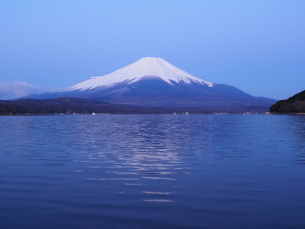 4/6 �s�[�J���̕x�m�R