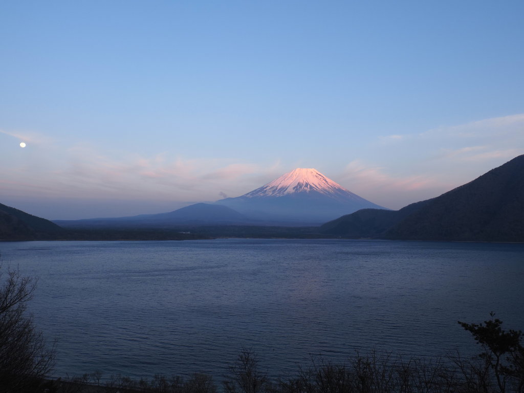 �[�Ă��̕x�m�R