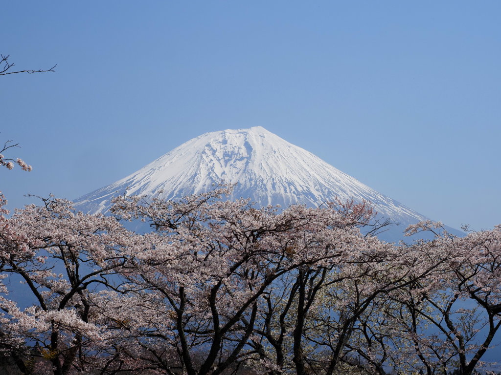 4/8 ���ƕx�m�R