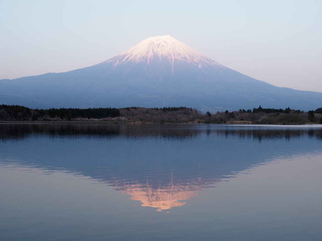 4/8 �[�Ă��̋t���x�m