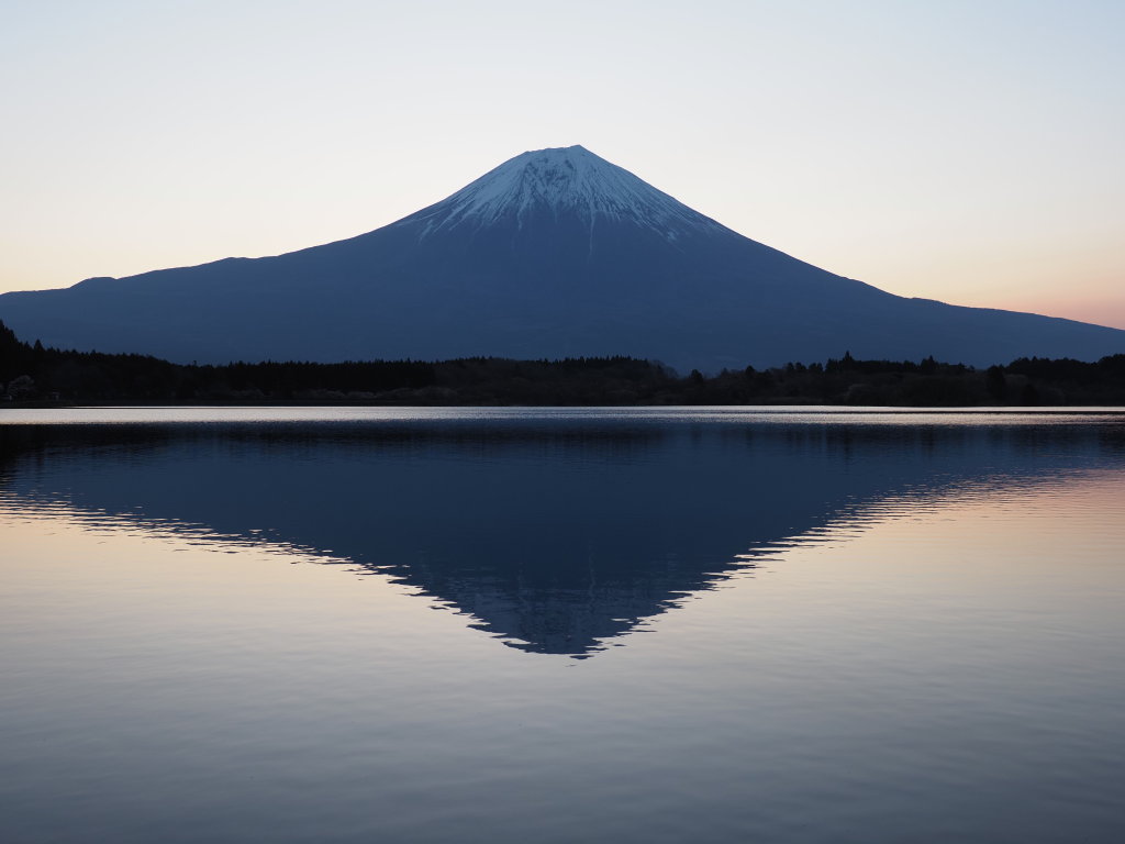 4/9 ���̏o����