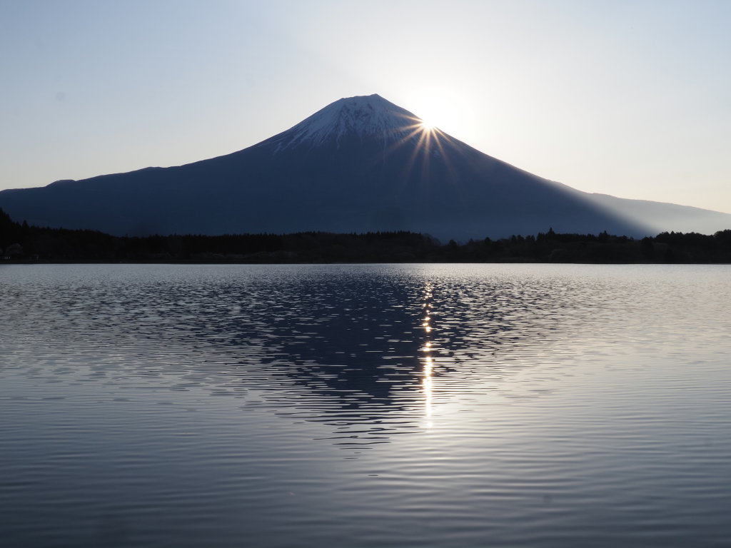 4/9 ���̏o�̕x�m�R