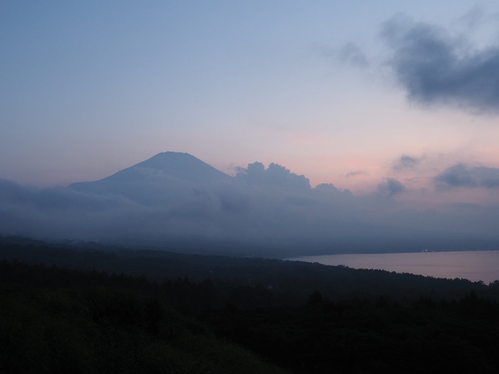 8/4 ��u�̕x�m�R