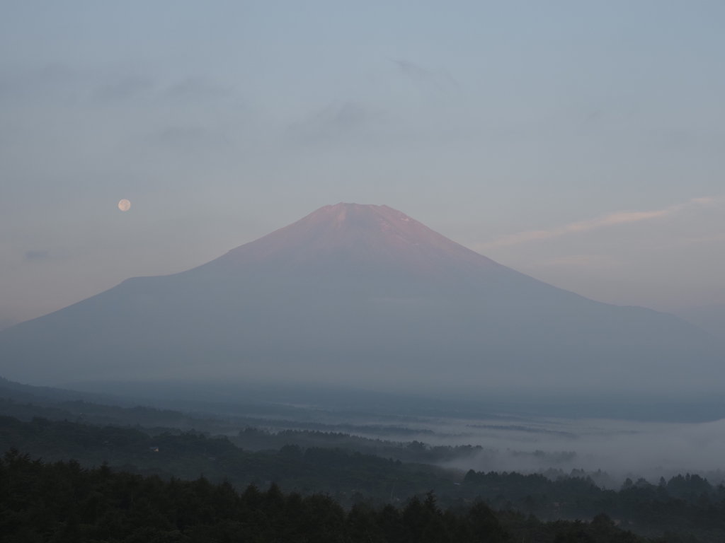 8/5 5��10���̕x�m�R