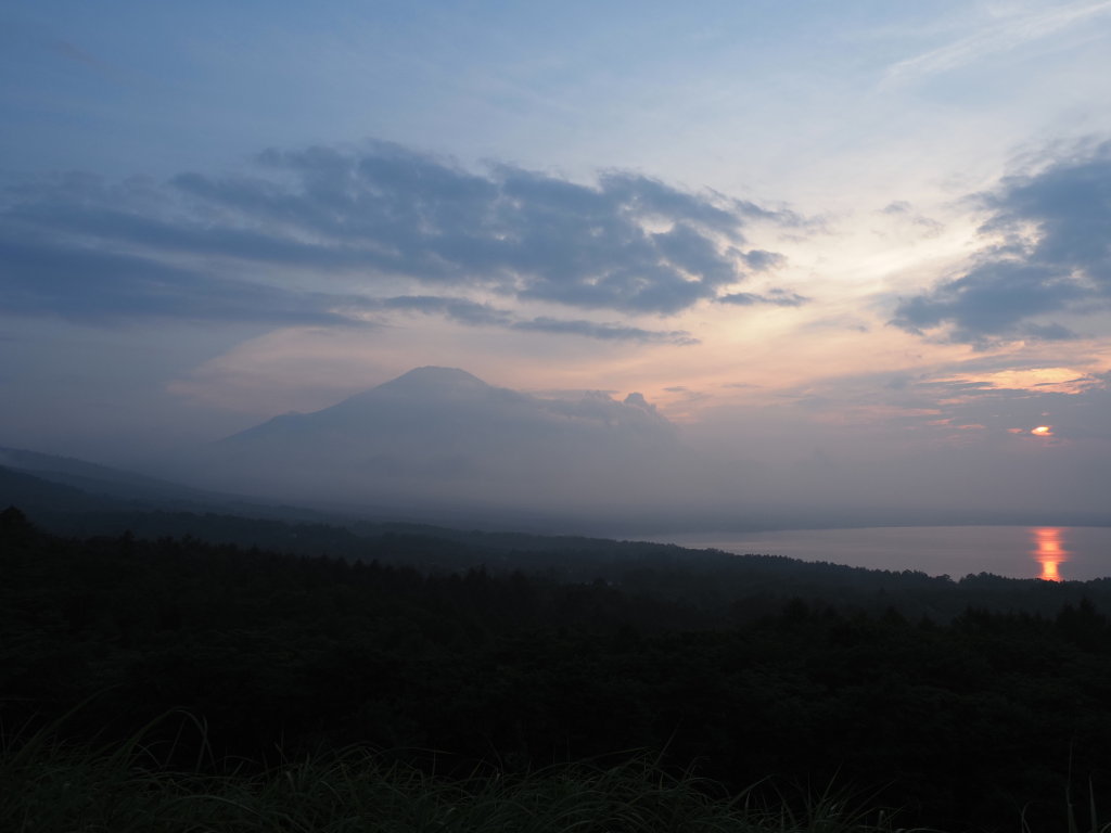 8/5 �[�Ă��̕x�m�R