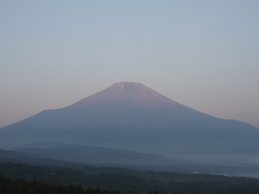 8/6 5��10���̕x�m�R