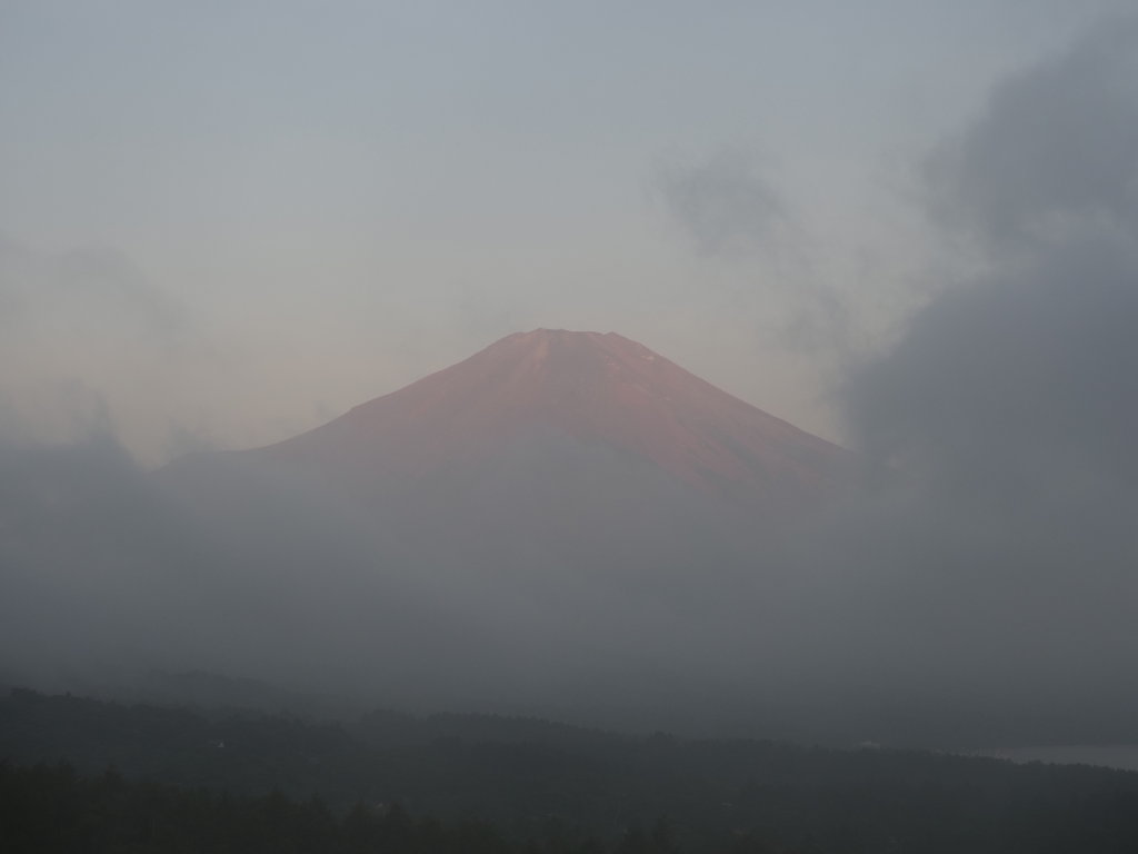 8/7 �_�ƕx�m�R