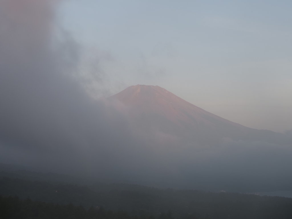 8/7 5��10���̕x�m�R