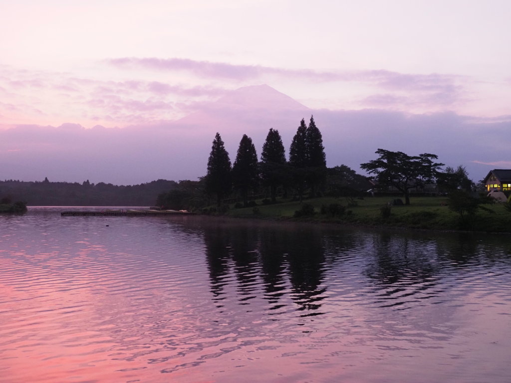 8/19 ���Ă��̕x�m�R