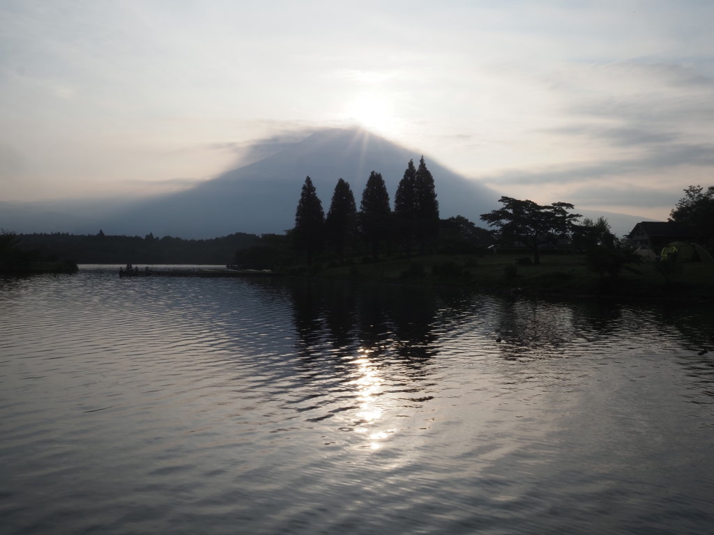 8/19 �_�̒��̃_�C�����ǂ�