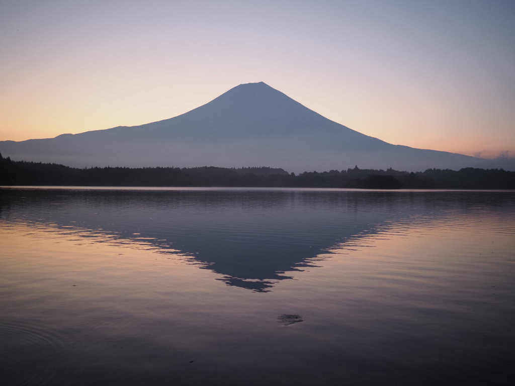 8/21 ���Ă��̕x�m�R