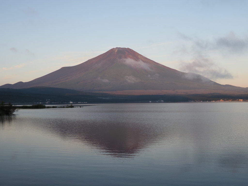 9/11 ���Ă��̋t���x�m