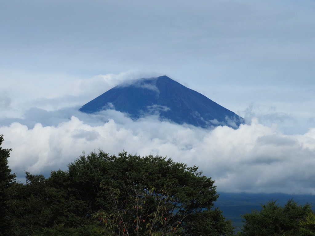 9/12 �����n�߂��x�m�R