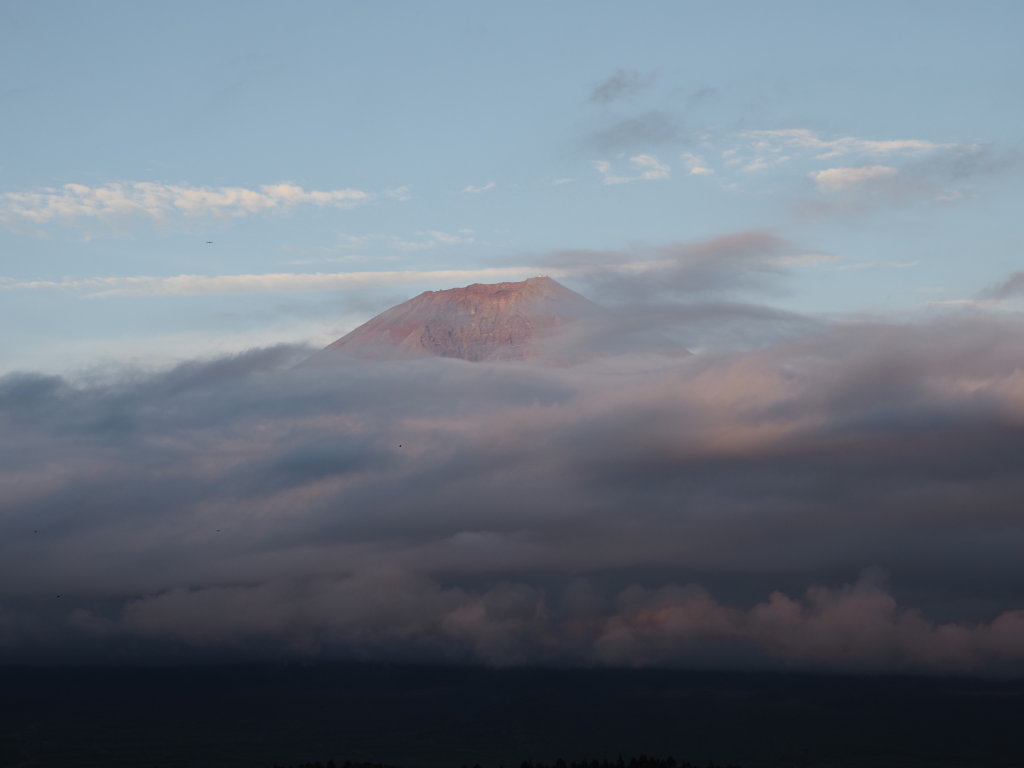 9/12 �R���̗[�Ă�