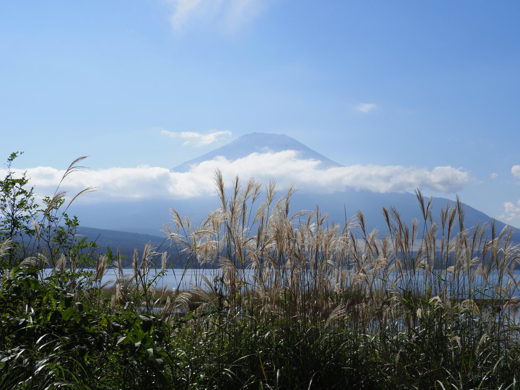 9/30 �U���̓r��