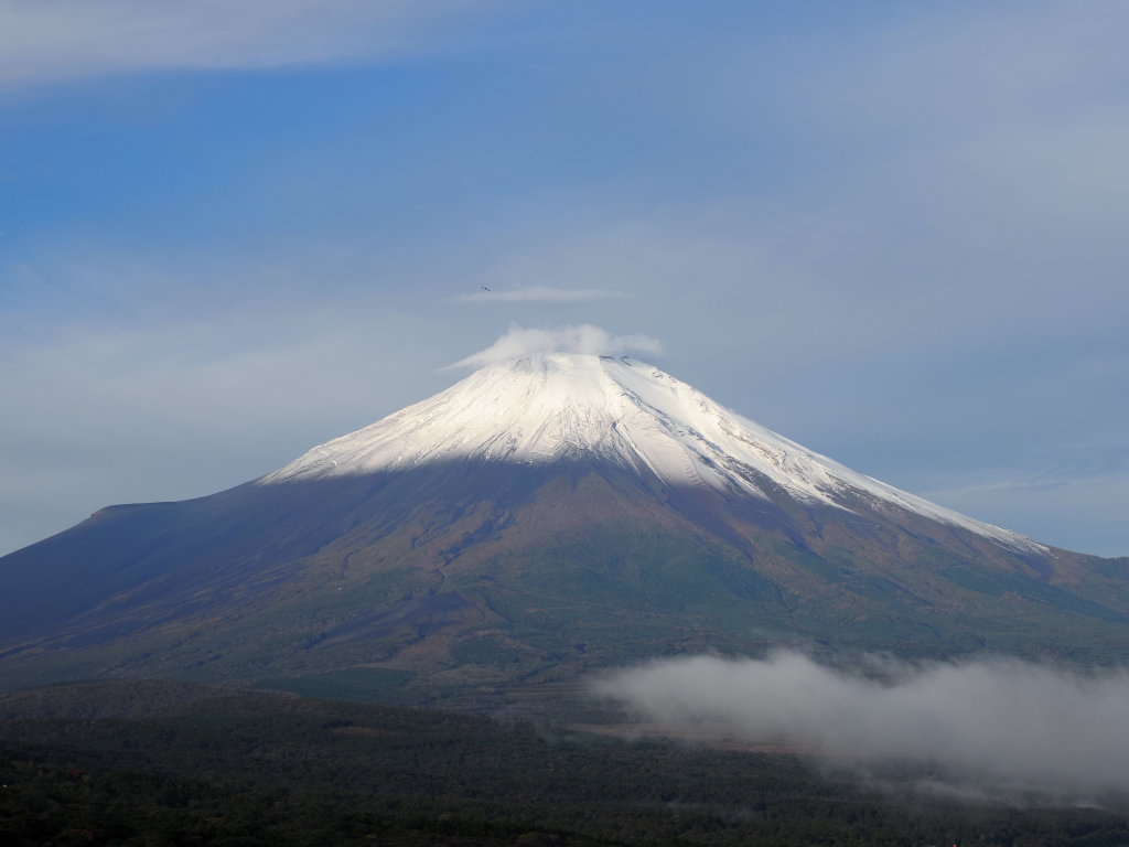 10/18 �����